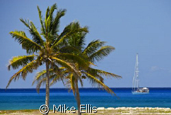 "Safe Haven"  Old Bahama Bay by Mike Ellis 